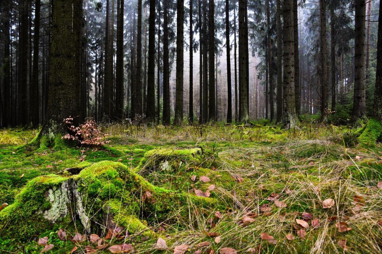 Hostinec A Penzion U Rezku Jistebnice Luaran gambar